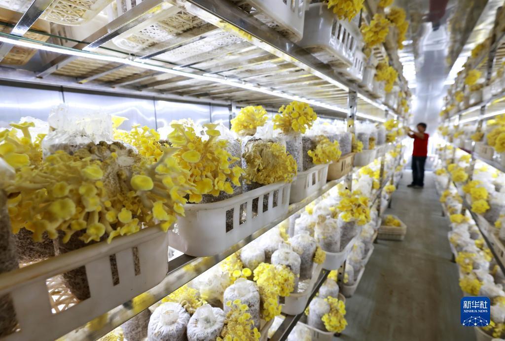 永利会员登录